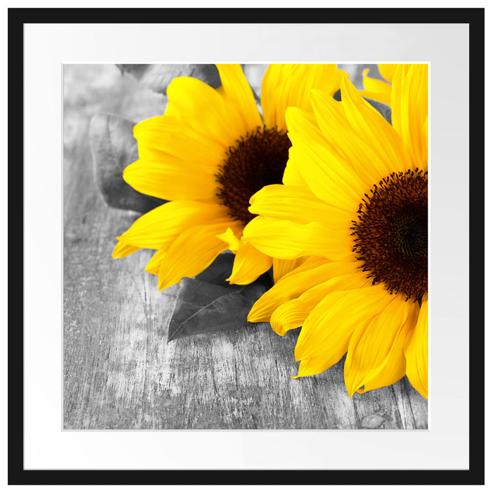 schöne Sonnenblumen auf Holztisch Passepartout Quadratisch 55x55
