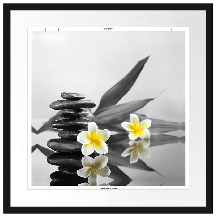 Monoi Blüten Zen Steinturm Passepartout Quadratisch 55x55