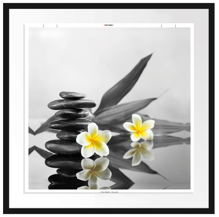 Monoi Blüten Zen Steinturm Passepartout Quadratisch 70x70
