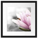 süße Biene auf Seerosenblüte Passepartout Quadratisch 40x40