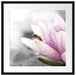 süße Biene auf Seerosenblüte Passepartout Quadratisch 55x55