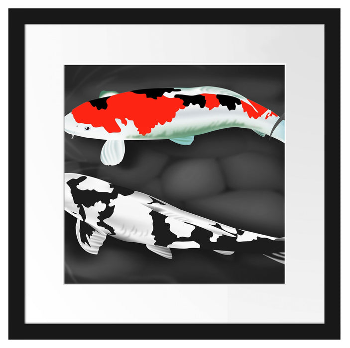 Gezeichnete Koi Karpfen Passepartout Quadratisch 40x40