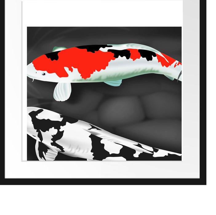Gezeichnete Koi Karpfen Passepartout Quadratisch 55x55