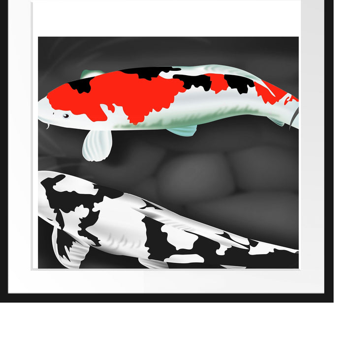 Gezeichnete Koi Karpfen Passepartout Quadratisch 70x70