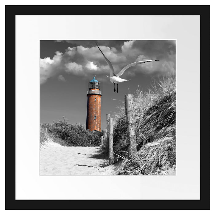 Leuchtturm mit Möwe an Strandweg Passepartout Quadratisch 40x40