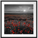 tolles Mohnblütenfeld Passepartout Quadratisch 70x70