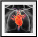 Herzkreislauf des Menschen Passepartout Quadratisch 55x55