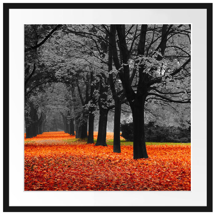 schöner Waldweg im Herbst Passepartout Quadratisch 70x70