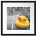 Quietsche Ente im Wasser Passepartout Quadratisch 40x40