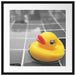 Quietsche Ente im Wasser Passepartout Quadratisch 55x55