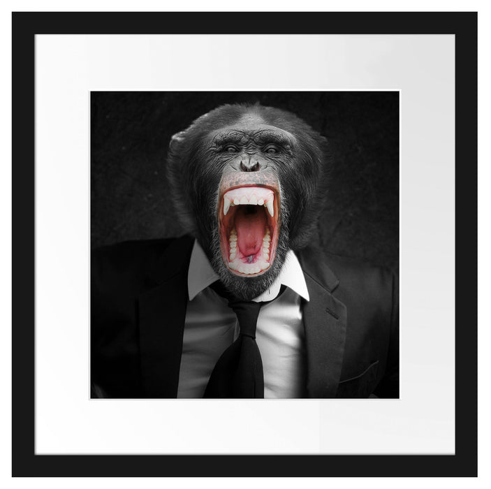 brüllender Affe im Anzug Passepartout Quadratisch 40x40