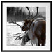 Rentiere im Schnee Passepartout Quadratisch 55x55