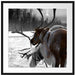 Rentiere im Schnee Passepartout Quadratisch 70x70