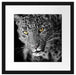 prächtig anmutiger Leopard Passepartout Quadratisch 40x40