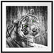 schöner neugieriger Tiger Passepartout Quadratisch 70x70