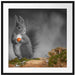 süßes Eichhörnchen mit Nuss Passepartout Quadratisch 70x70