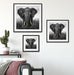 prachtvoller Elefant Quadratisch Passepartout Wohnzimmer