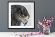 wunderschöner Adler im Portrait Quadratisch Passepartout Dekovorschlag