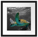 Schildkröte über dem Riff Passepartout Quadratisch 40x40
