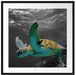 Schildkröte über dem Riff Passepartout Quadratisch 70x70
