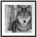 wunderschöner wachsamer Wolf Passepartout Quadratisch 55x55