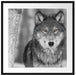 wunderschöner wachsamer Wolf Passepartout Quadratisch 70x70