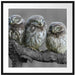 Eulen auf Ast Passepartout Quadratisch 70x70