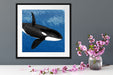 schöner Orca im Meer Quadratisch Passepartout Dekovorschlag