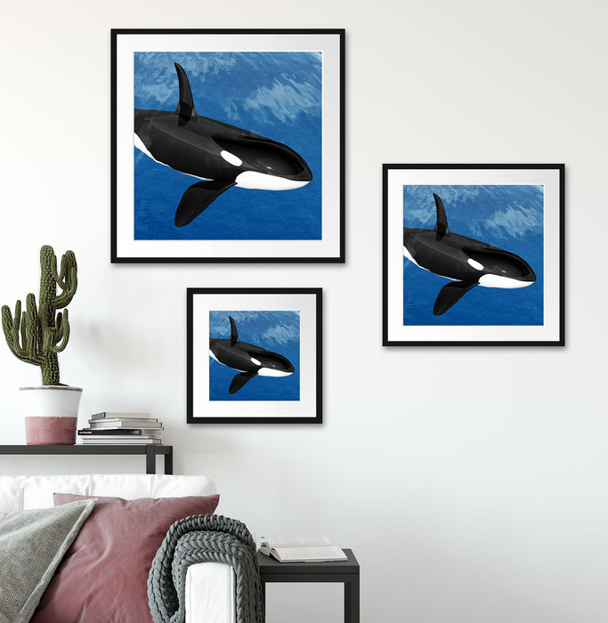 schöner Orca im Meer Quadratisch Passepartout Wohnzimmer