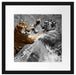 prachtvolle Tiger kämpfen Passepartout Quadratisch 40x40