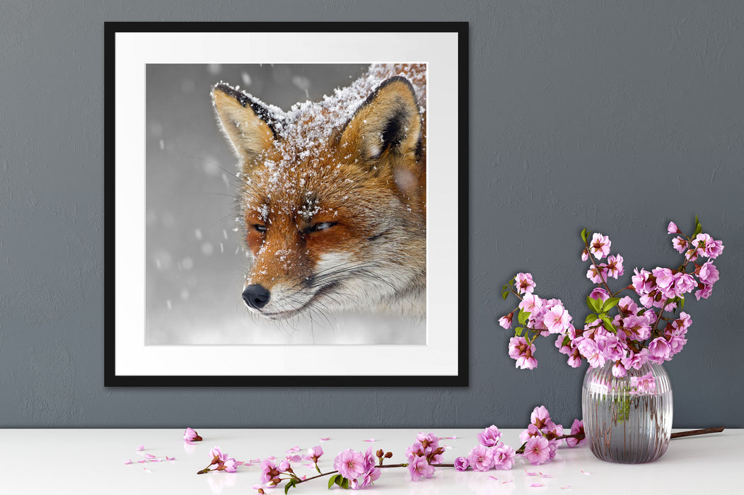 wunderschöner Fuchs im Schnee Quadratisch Passepartout Dekovorschlag