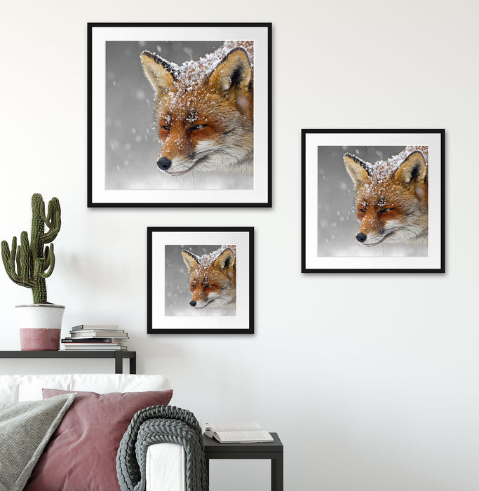 wunderschöner Fuchs im Schnee Quadratisch Passepartout Wohnzimmer