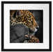 prächtiger Leopard auf Stamm Passepartout Quadratisch 40x40