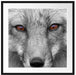 wunderschöner Fuchs im Portrait Passepartout Quadratisch 70x70
