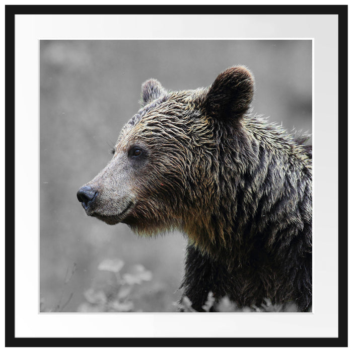 einsamer Bär im Wald Passepartout Quadratisch 70x70