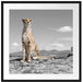 stolzer Gepard Passepartout Quadratisch 70x70