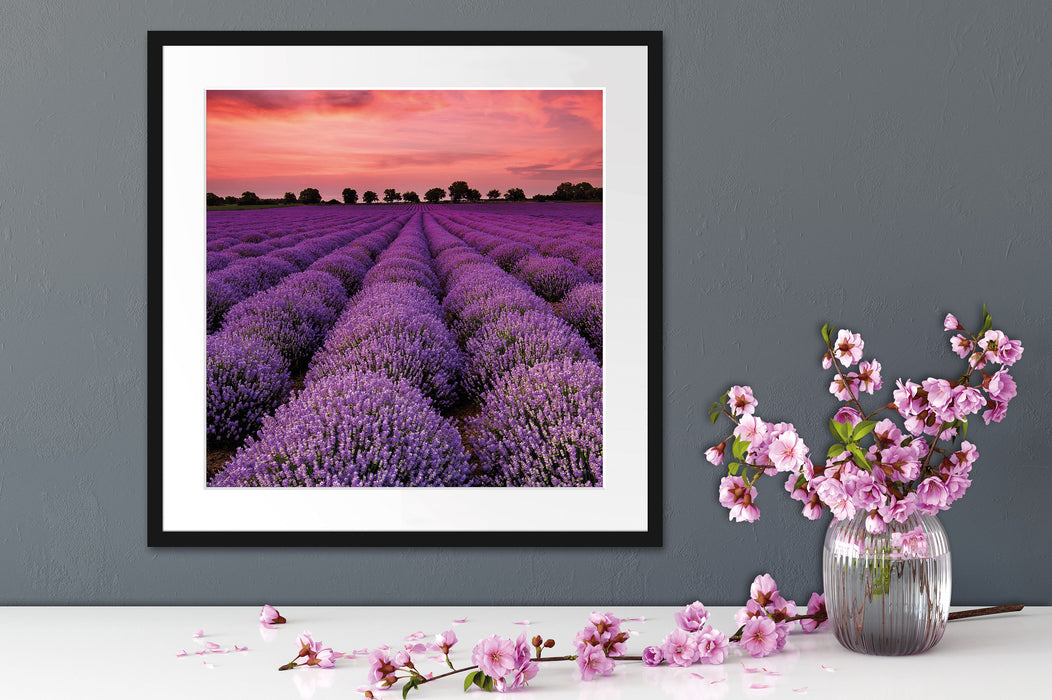 Wunderschöne Lavendel Provence Quadratisch Passepartout Dekovorschlag