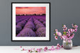 Wunderschöne Lavendel Provence Quadratisch Passepartout Dekovorschlag