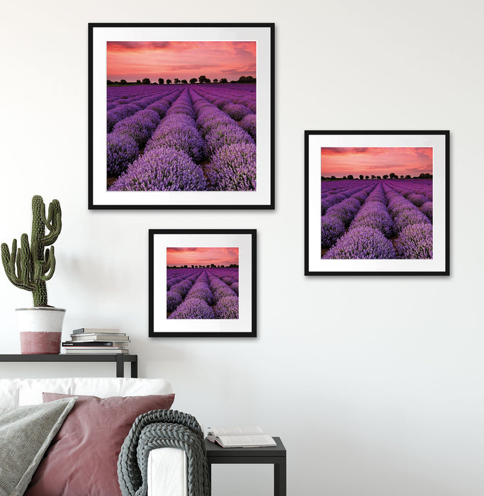 Wunderschöne Lavendel Provence Quadratisch Passepartout Wohnzimmer