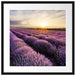 Traumhafte Lavendel Provence Passepartout Quadratisch 55x55