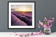 Traumhafte Lavendel Provence Quadratisch Passepartout Dekovorschlag