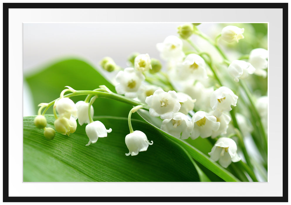 Pixxprint Maiglöckchen Ostern, im Galerie-Passepartout Bilderrahmen