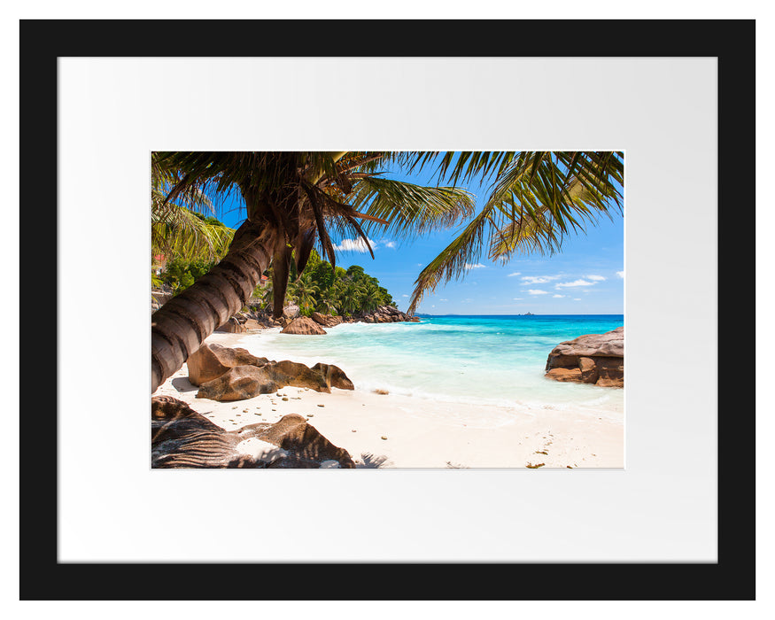 Palmenstrand Seychellen Passepartout 38x30