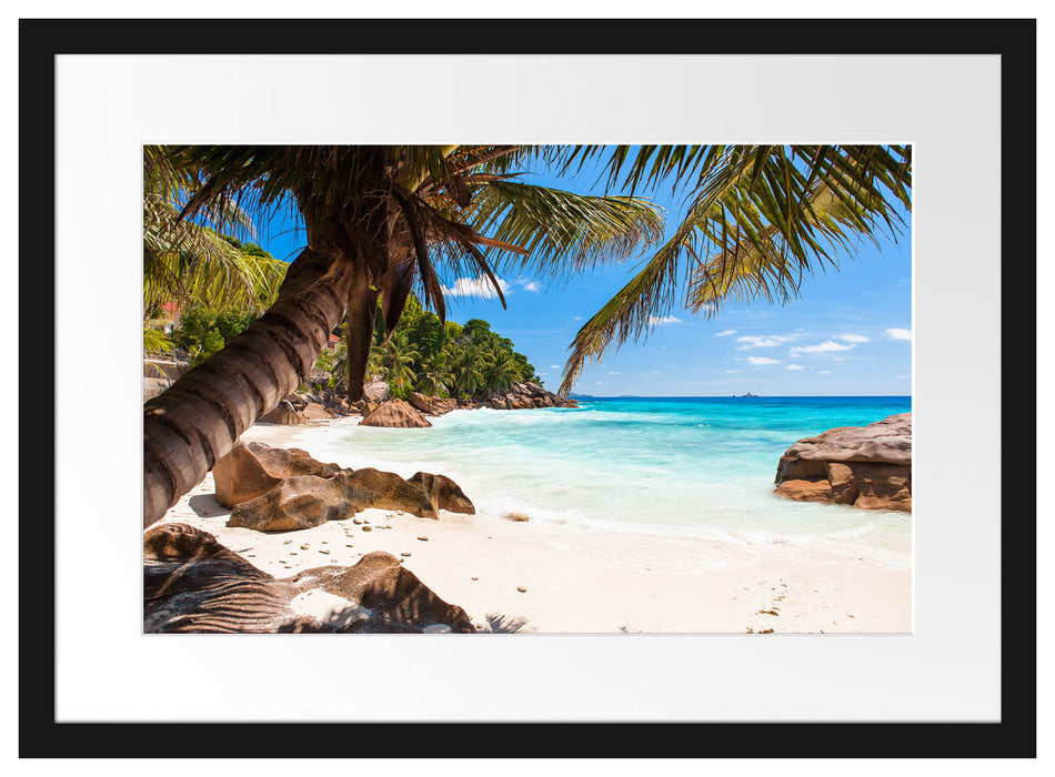 Palmenstrand Seychellen Passepartout 55x40