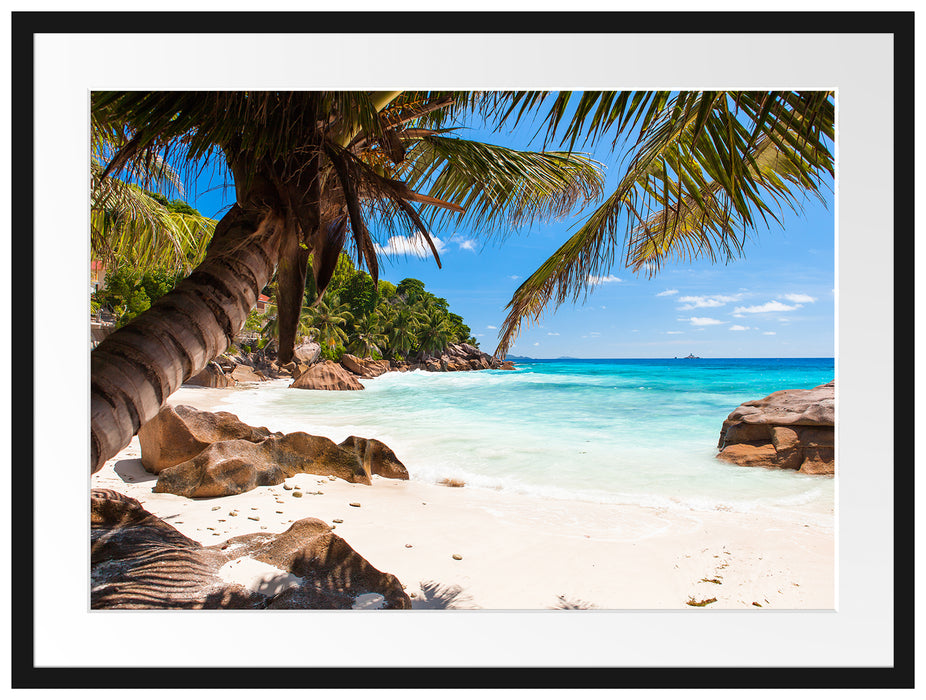 Palmenstrand Seychellen Passepartout 80x60