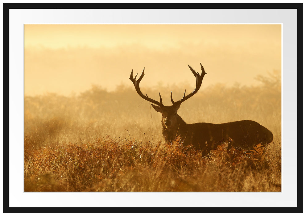 Pixxprint Rotwild Hirsch in Abenddämmerung, im Galerie-Passepartout Bilderrahmen