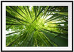Grüner Bambus Passepartout 100x70