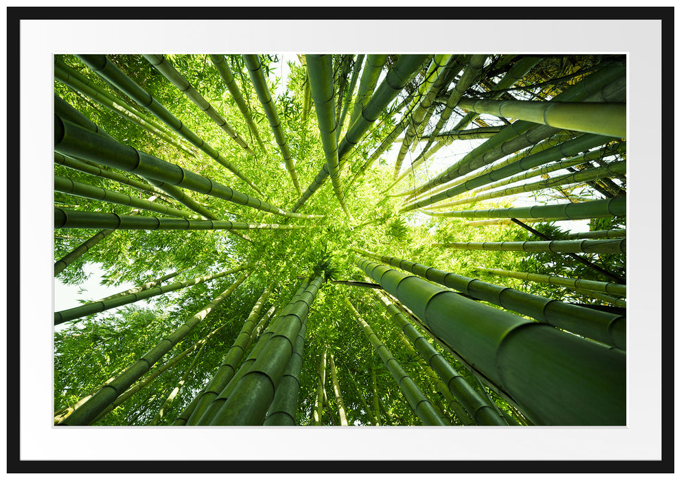 Pixxprint Grüner Bambus, im Galerie-Passepartout Bilderrahmen