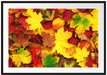 Herbstblätter Passepartout 100x70
