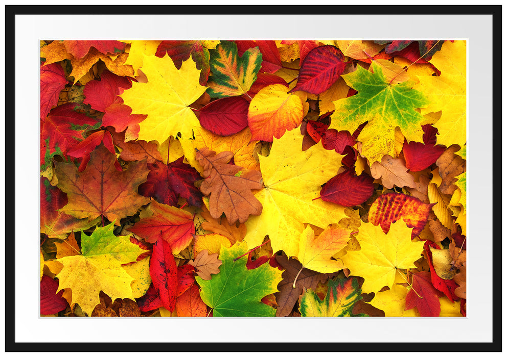 Pixxprint Herbstblätter, im Galerie-Passepartout Bilderrahmen